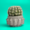 Multi Face Succulent Planter