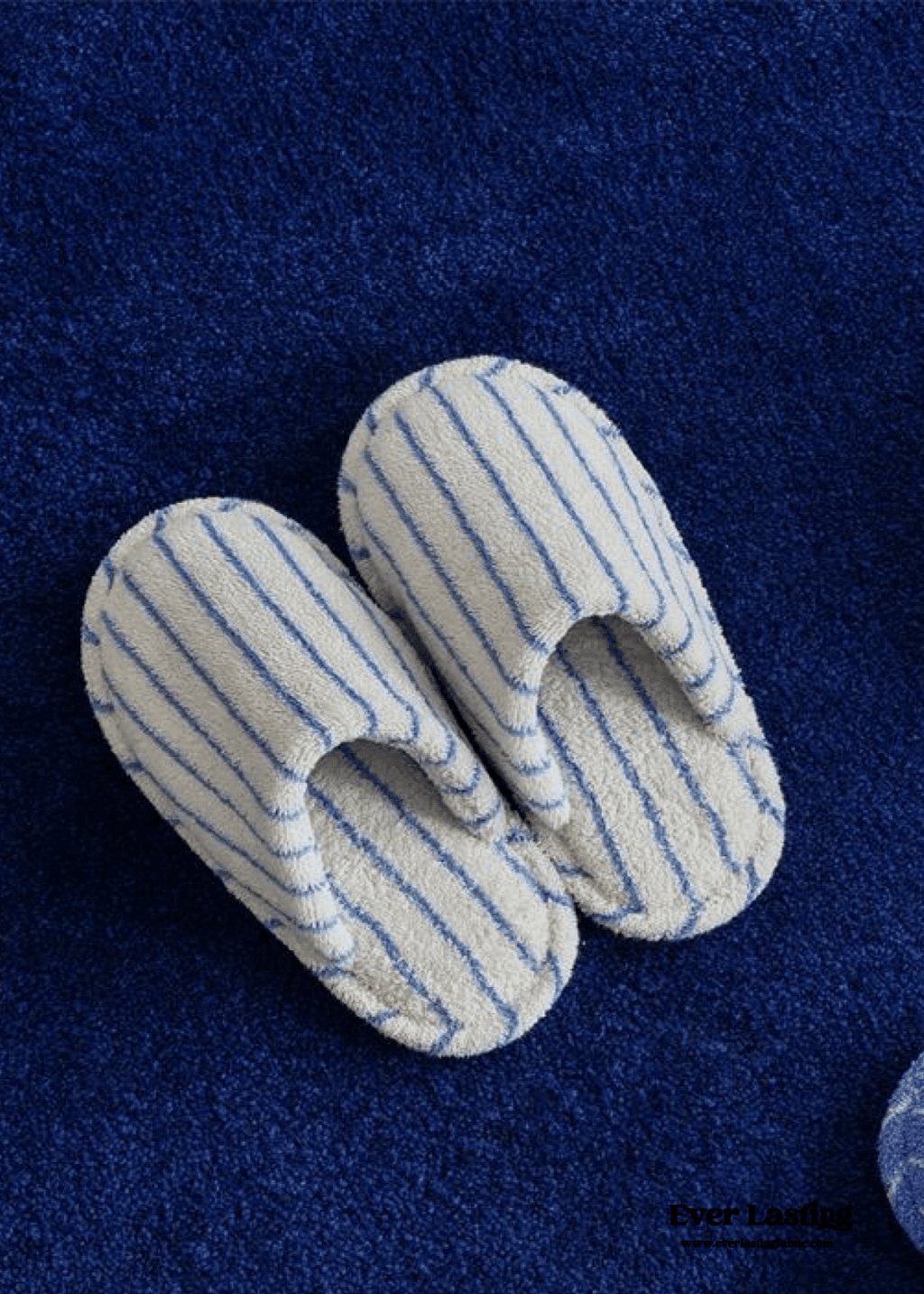Thin Striped House Slippers / Blue